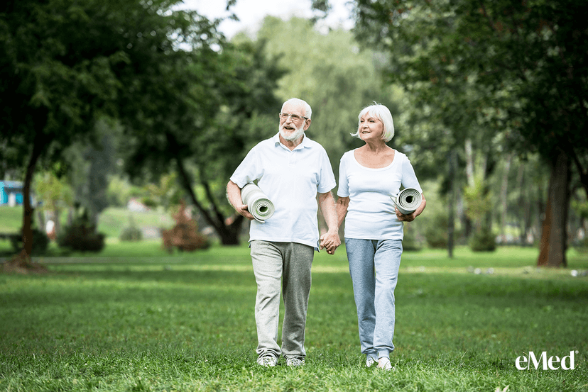 Prevent Falls & Boost Independence: Physiotherapy for Seniors